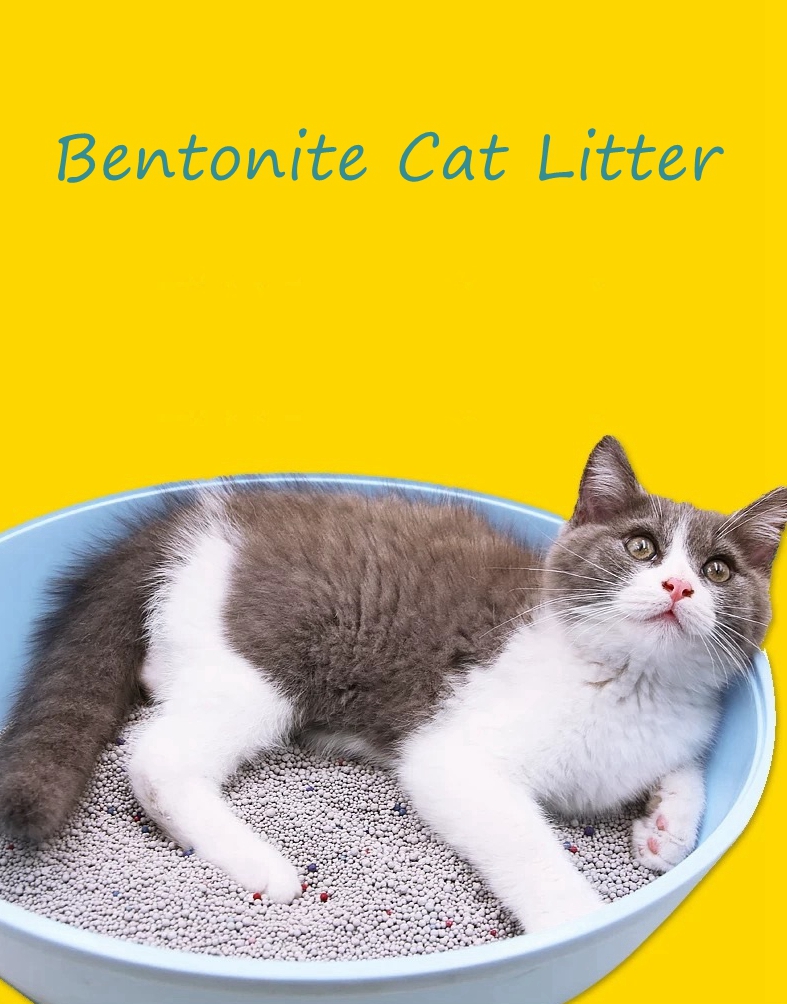 bentonite cat litter