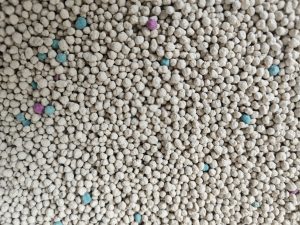 Bentonite cat litter